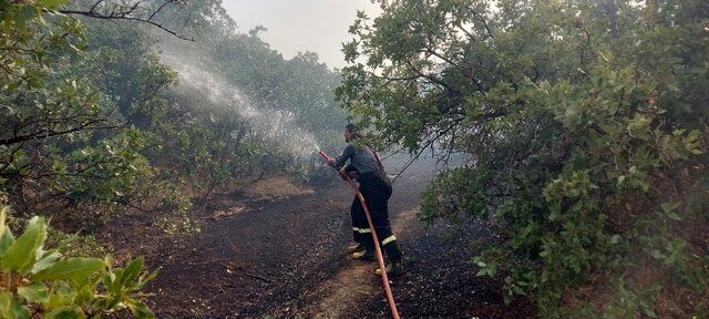آتش‌سوزی جنگل‌های مریوان همچنان ادامه دارد