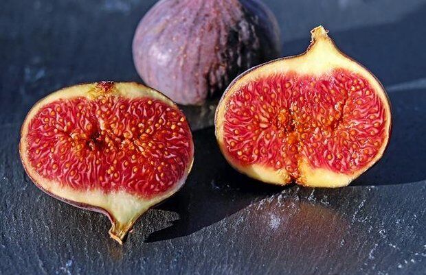 4 خاصیت خوردن انجیر برای بدن 