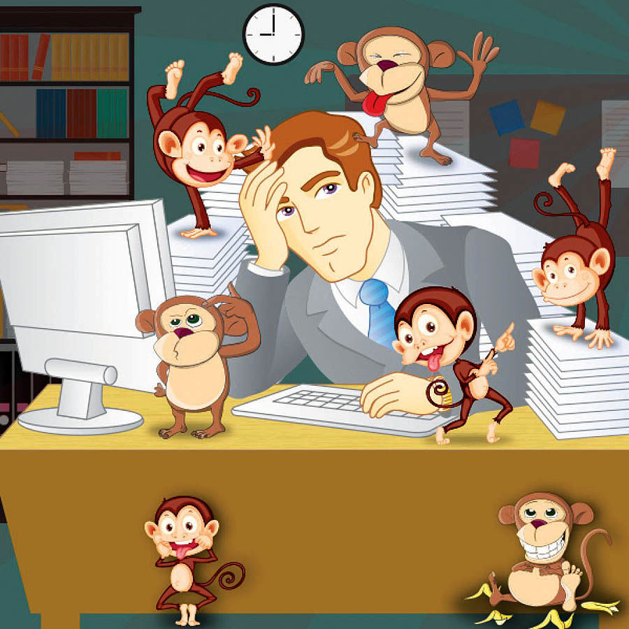 مدیریت میمونی راهنمایی برای کارآفرینی