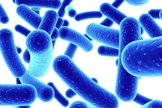 بایدها و نبایدهای پیشگیری از وبا