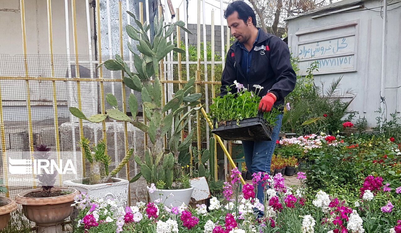 شهرداری به جای نظارت گل می فروشد/ آمار تولید گل نداریم