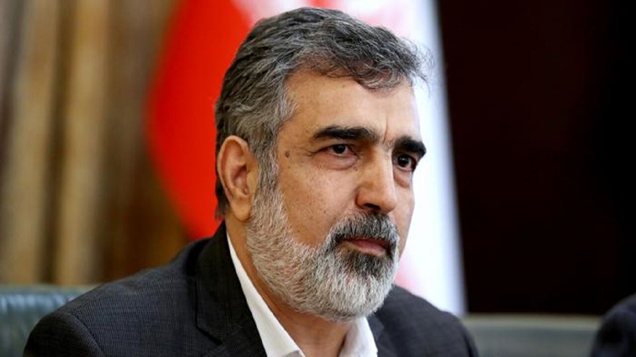 کمالوندی: مذاکرات با گروسی سازنده بود اما به نهایت نرسید