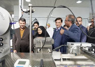 افتتاح چهار طرح انرژی و صنایع غذایی در منطقه آزاد ارس