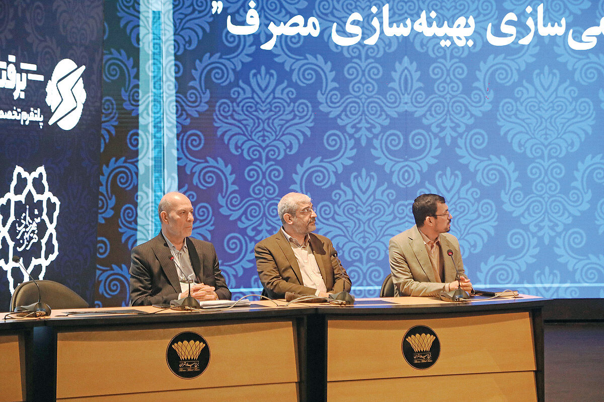 دو بال اصلاحات انرژی