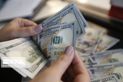 واردات این کالاها با ارز ترجیحی+عکس