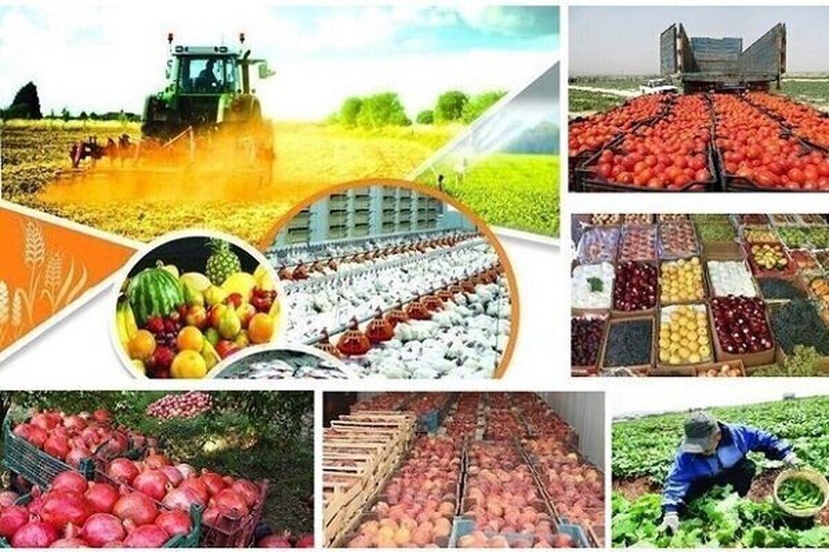 شرطی که کشاورزان را از قطعی برق معاف می‌کند