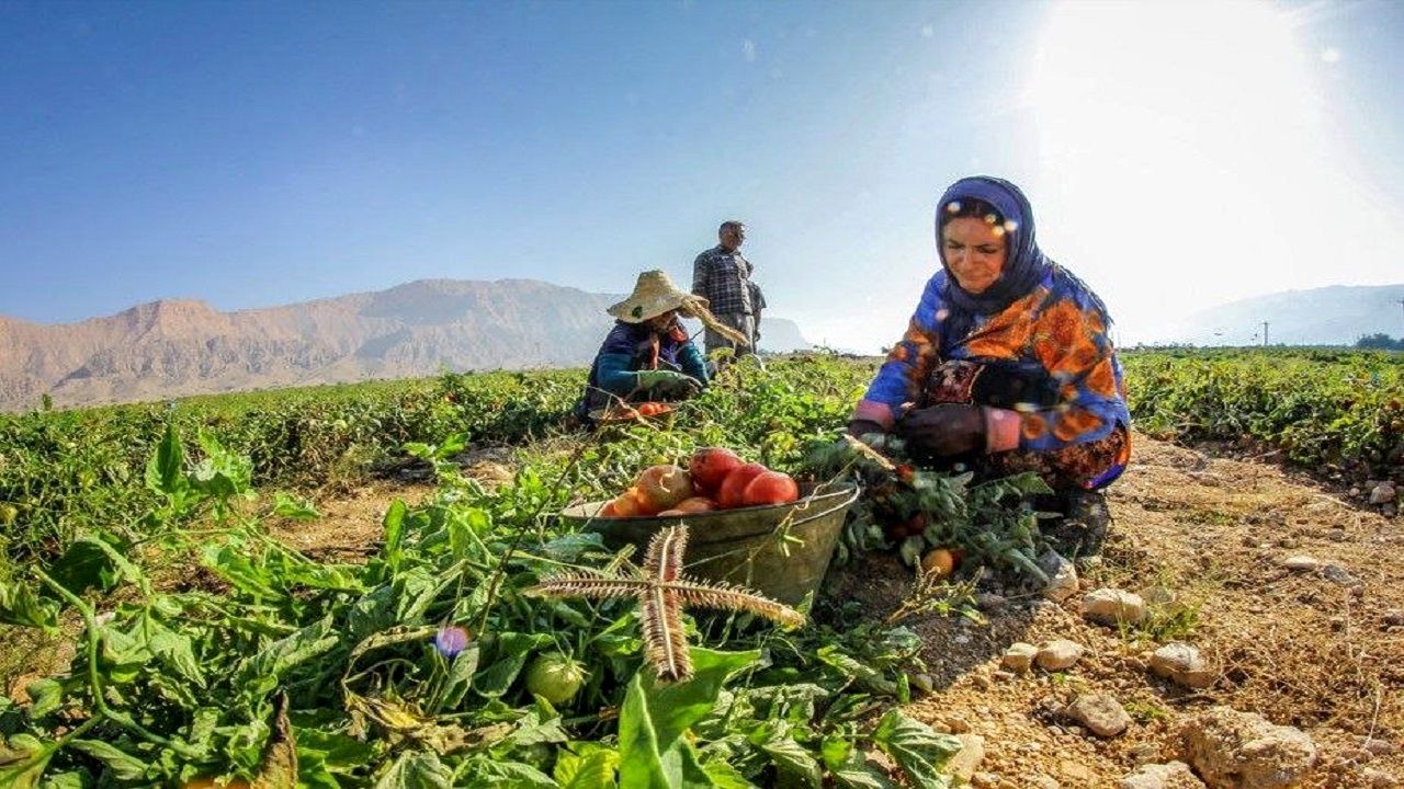 این افراد به صورت رایگان بیمه تامین اجتماعی می‌شوند + جزئیات