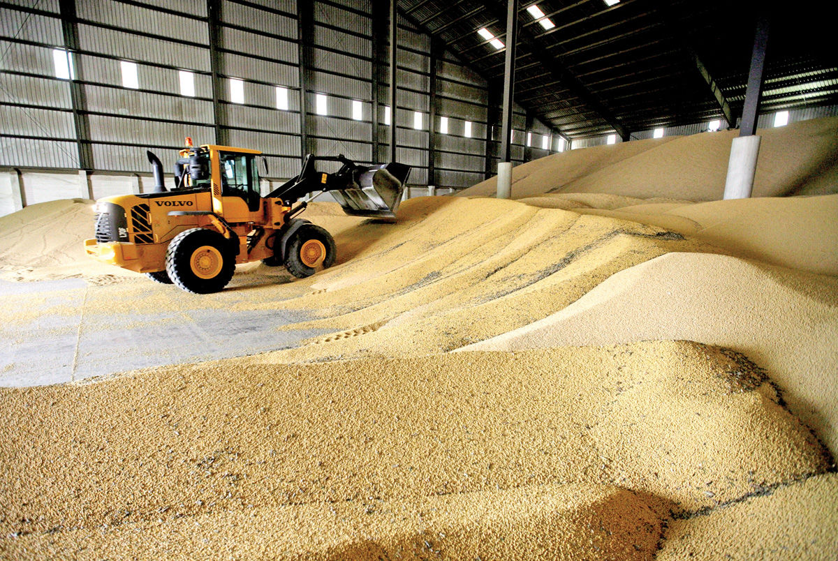 قفل ترخیص نهاده‌ها