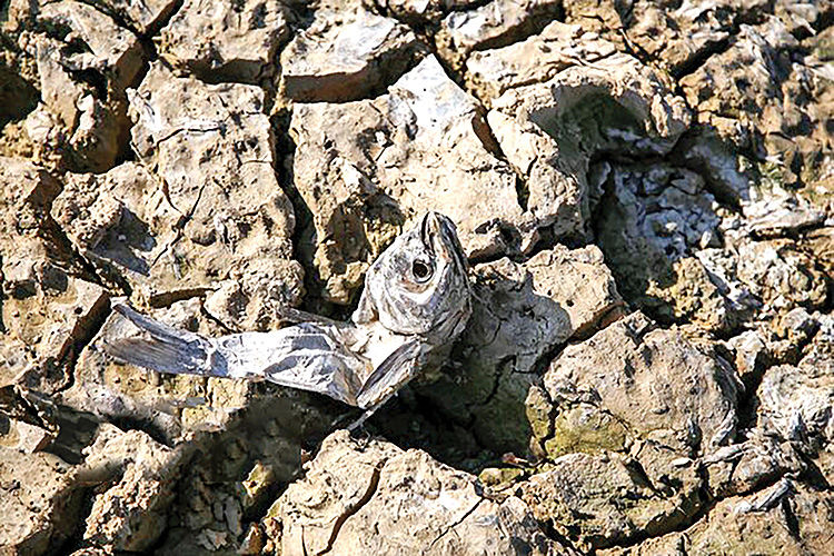 شرایط سخت‌ آبی در تهران