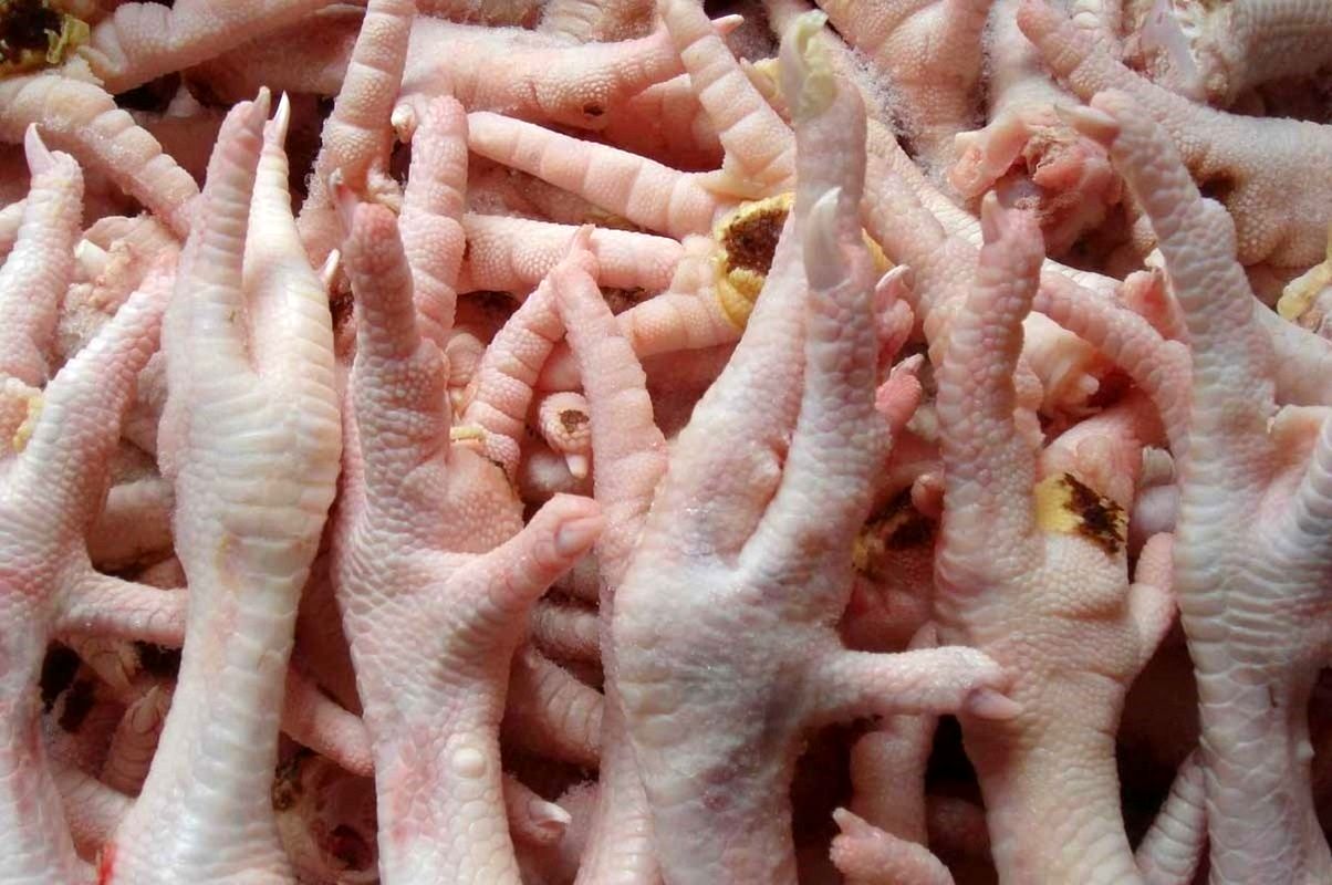 پای مرغ‌های ایران مشتری پروپاقرص پیدا کرد