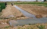 نمای رسمی «پرت آب» در بخش کشاورزی