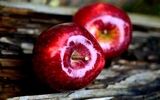 فقط تا چند روز دیگر؛ خرید نهال های با کیفیت ۲۴هزار تومانی میوه و بادام پالیز