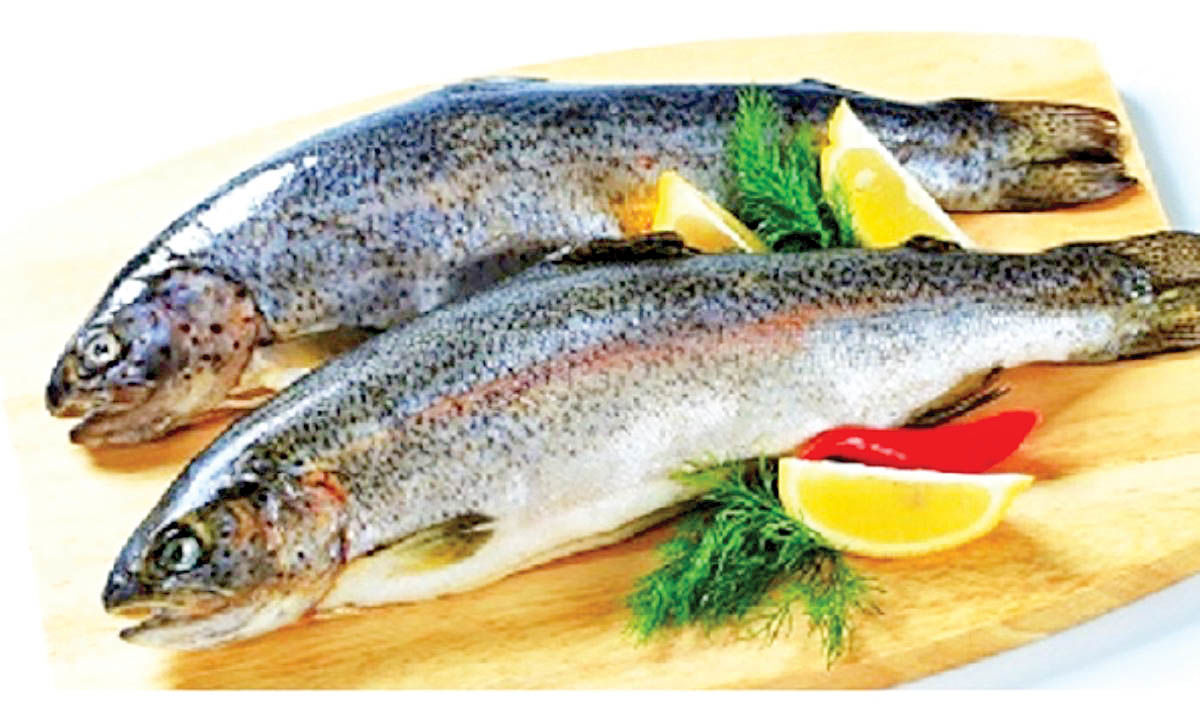 کاهش تقاضای خرید ماهی
