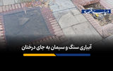 آبیاری سنگ و سیمان به جای درختان