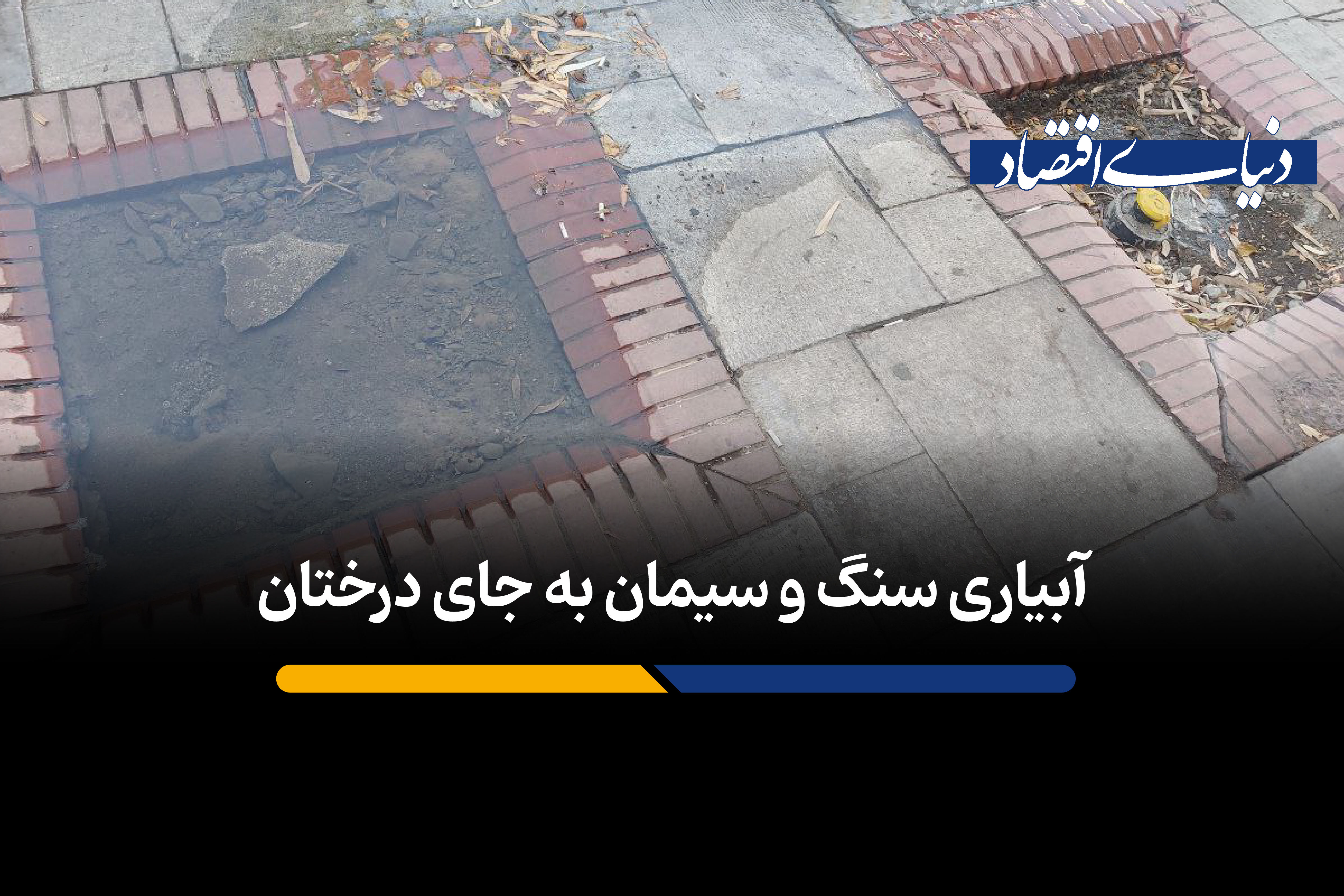 آبیاری سنگ و سیمان به جای درختان