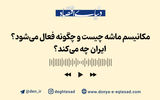 مکانیسم ماشه چیست و چگونه فعال می‌شود؟ 