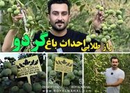 8 راز طلایی احداث باغ خشکبار پر درآمد!