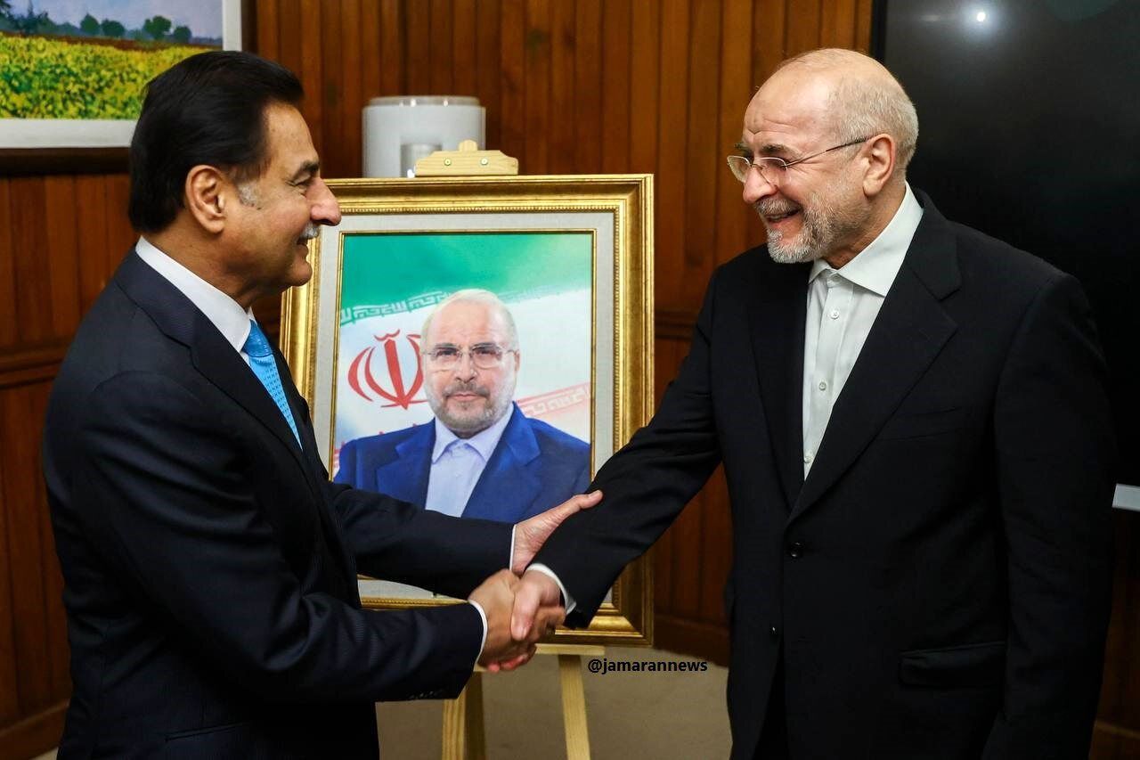 هدیه متفاوت رییس مجلس ملی پاکستان به قالیباف + عکس 2