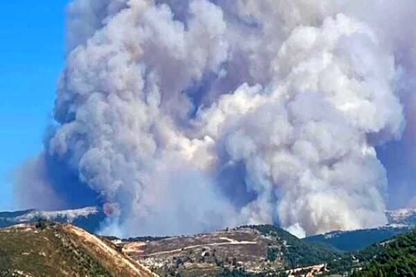 وقوع آتش سوزی عظیم در جنگل های لبنان