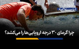چرا گرمای 30 درجه اروپایی‌ها را می‌کشد؟
