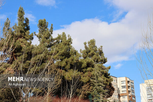 هوای پایتخت پاک شد