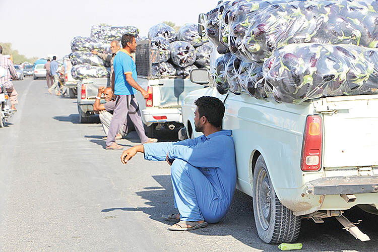 فروش 10هزار تومانی بادمجان 500 تومانی