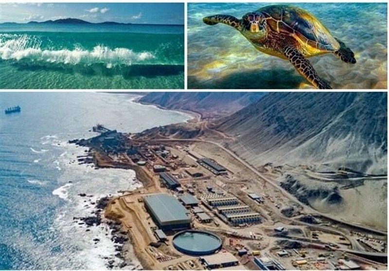 خطر بیخ گوش جزایر زیبای کیش و قشم / آب شیرینکنهای غیر مجاز ن خاموش محیط زیست