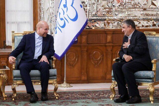 دیدار قالیباف با رییس سازمان انرژی اتمی