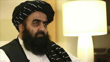 بحران اقتصادی تبلیغات است/ منع تریاک آسیب وارد کرد!