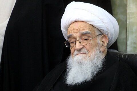 آیت‌الله صافی گلپایگانی با انجام بررسی‌های اولیه راهی منزل شد