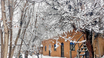 زمستان سخت بوم‌گردی‌ها