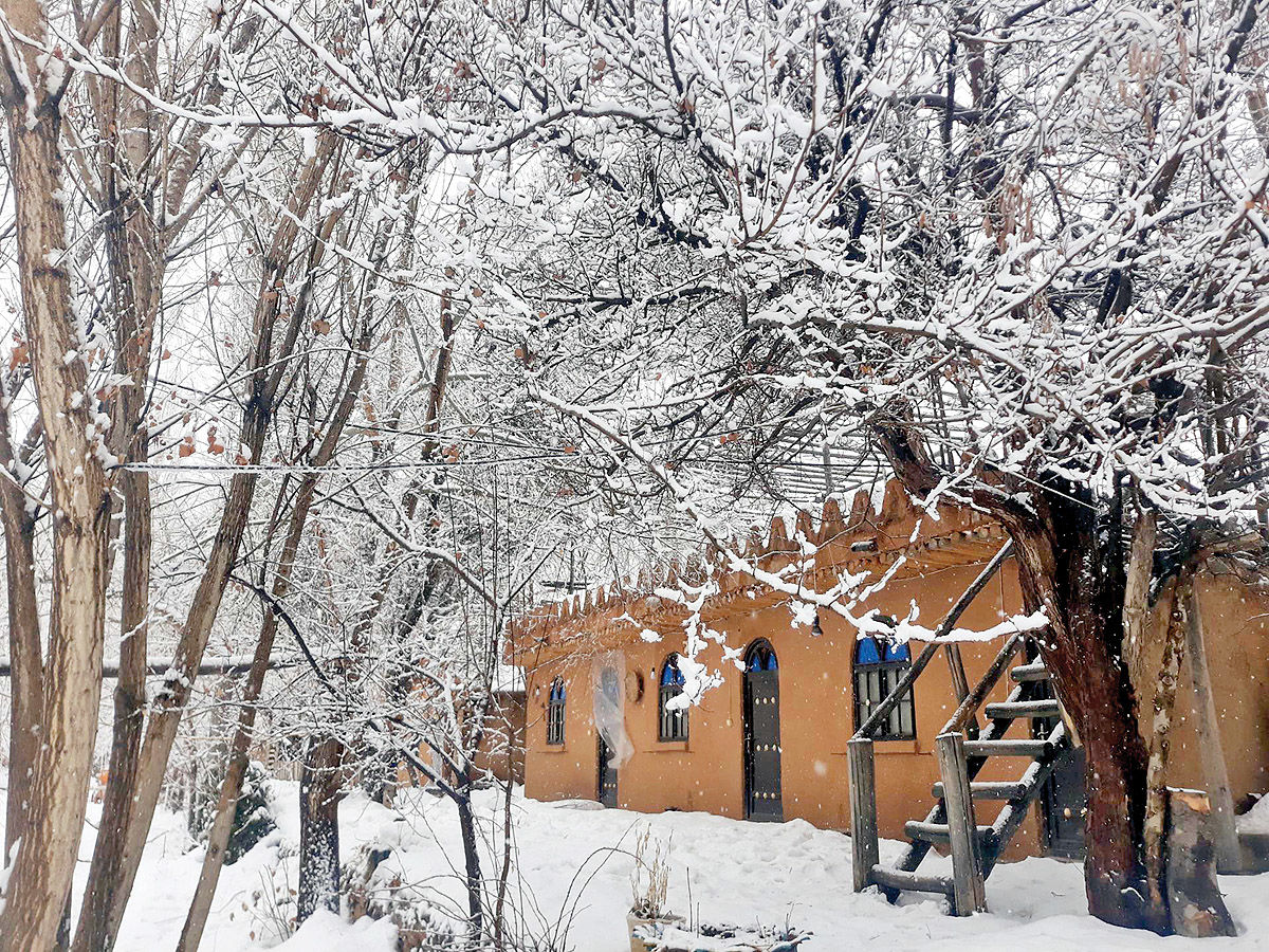 زمستان سخت بوم‌گردی‌ها