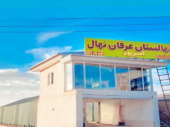 به جای طلا و دلار، با 70% تخفیف نهال پایه رویشی بخر، 2 برابر بازگشت سرمایه اولیه در سال اول