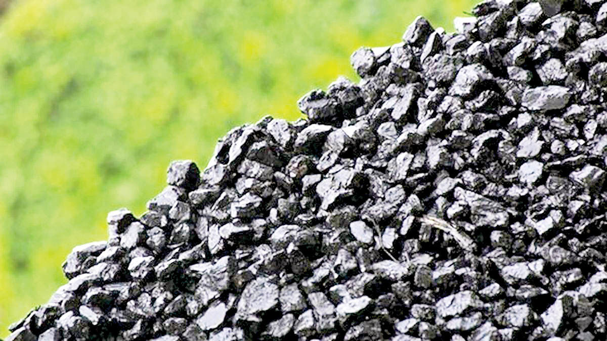 افزایش 41‌درصدی تولید کنسانتره زغال‌سنگ ایمیدرو