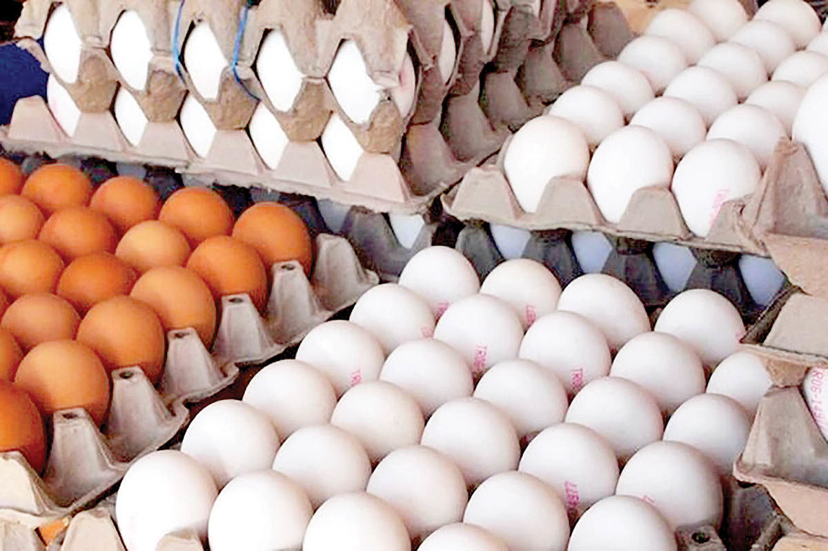 دلایل افزایش قیمت تخم‌مرغ