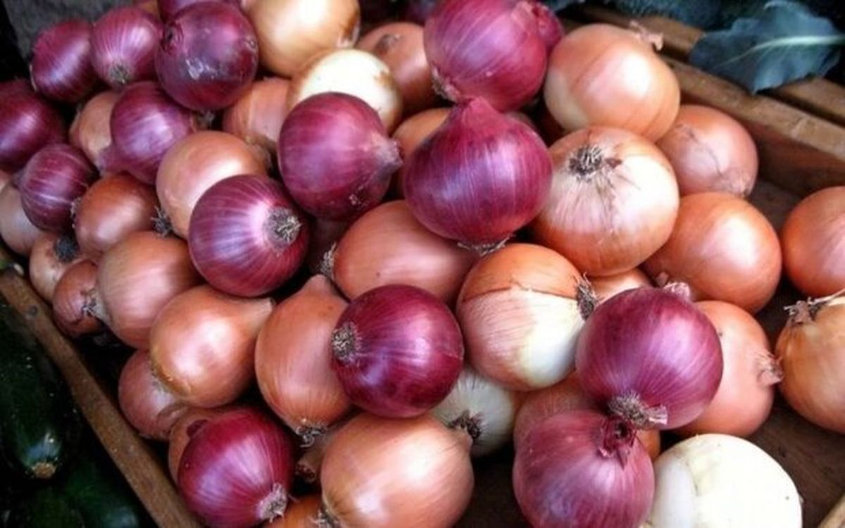 قیمت جدید پیاز در بازار اعلام شد