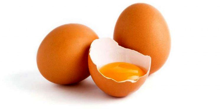 چطور تخم مرغ سالم را تشخیص دهیم؟