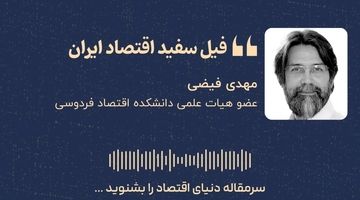 «فیل سفید اقتصاد ایران»