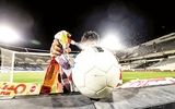دلال‌ها «ستاره» شدند!