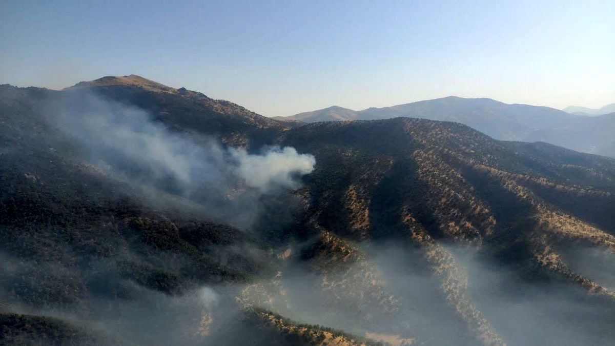 آتش سوزی مهیب در پارک ملی سالوک+جزئیات