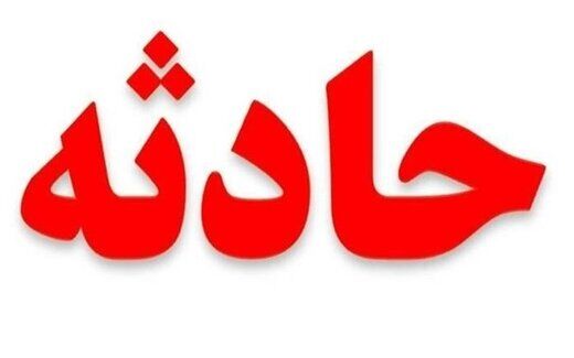 حمله وحشتناک سگ‌های ولگرد به دختربچه ۳ساله/ عکس