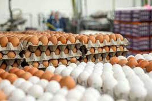 تفاوت قیمت مصوب و آزاد تخم مرغ چقدر است؟
