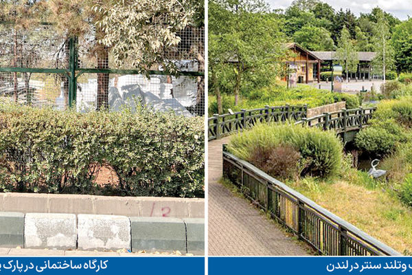 ساختمان‌سازی در پارک پردیسان