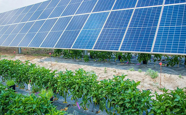  برق خورشیدی با مشارکت چینی‌ها