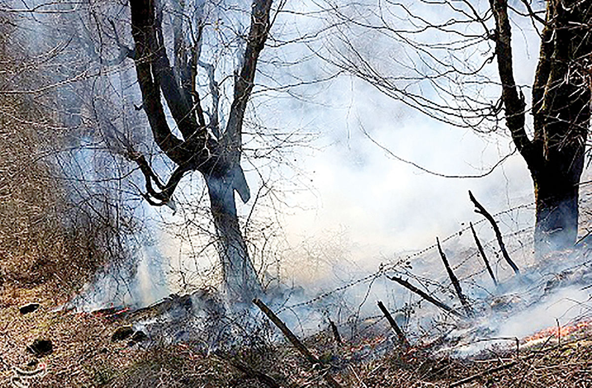 خرابکاری در جنگل‏‌ها با آتش‏‌سوزی‌؟