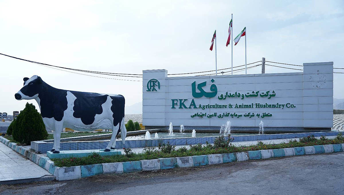 دستاورد «فکا» در عرصه صادرات دانشبنیان