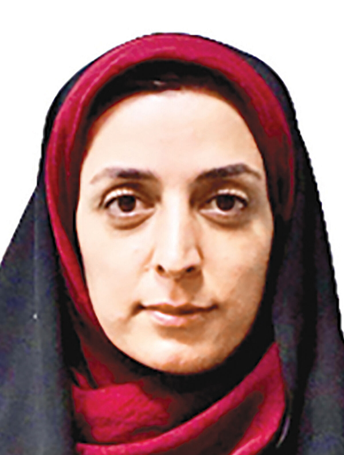 محدود سازی یک مفهوم به «سازمان» 