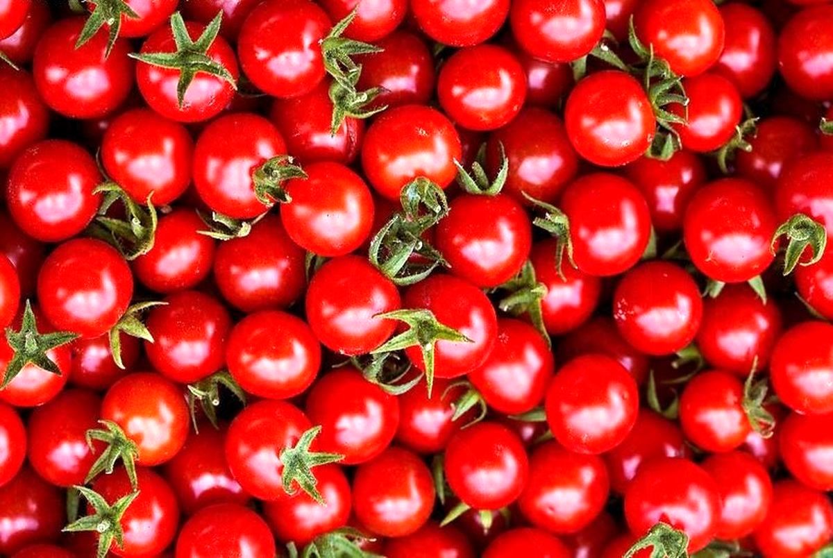 ۳ روش کلیدی برای نگهداری طولانی‌مدت گوجه فرنگی