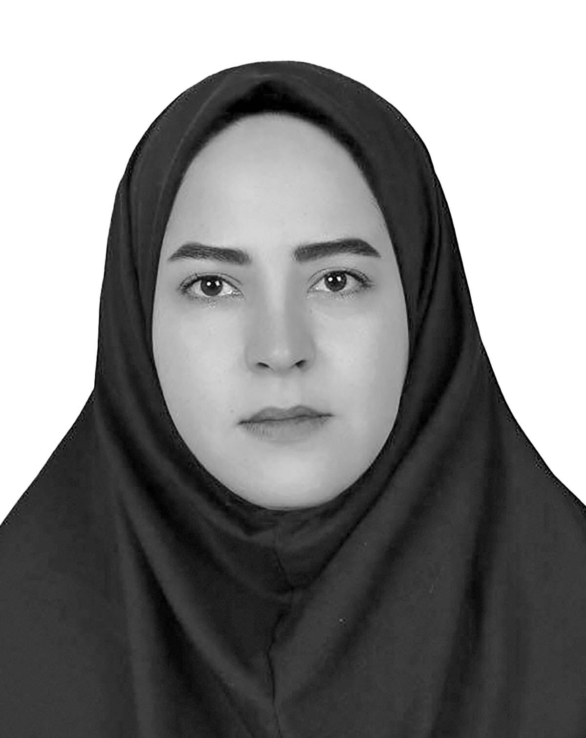 داده‌سازی، تقلب و سوءرفتار پژوهشگران