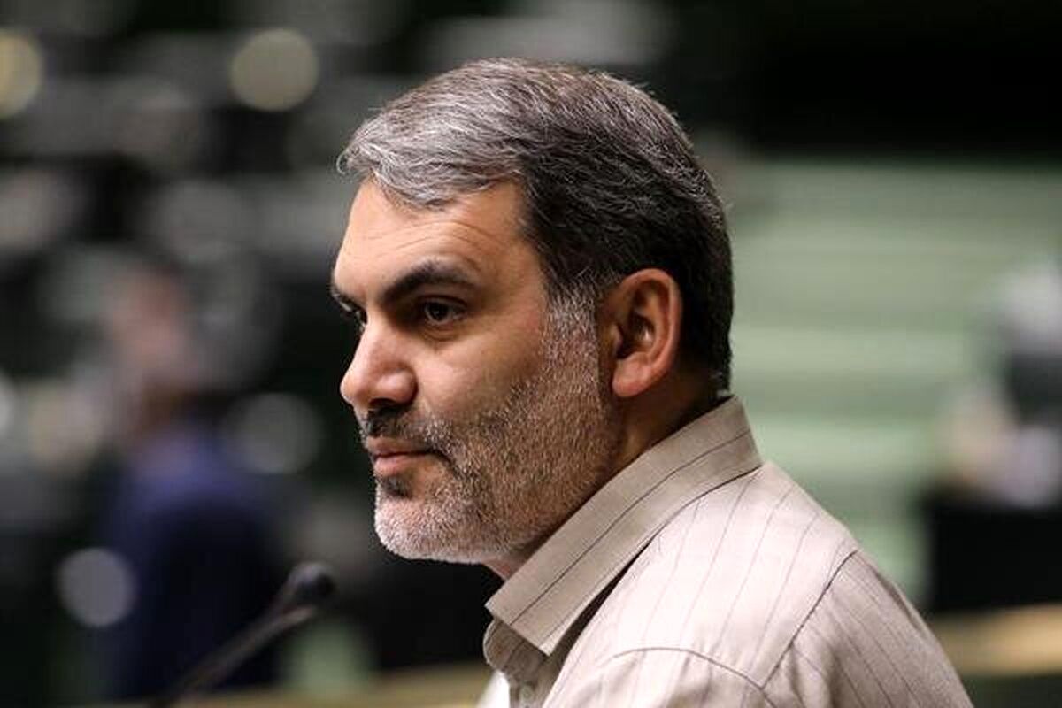 انتقاد تند از وزیر نیرو در صحن مجلس / ارز ملت را به آدم‌هایی که سوابق شان مشخص است می‌دهید تا بروند پنل خورشیدی وارد بکنند + فیلم